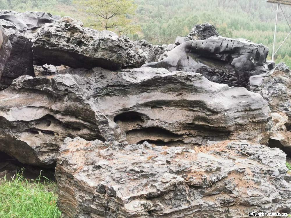 风景石、假山石大量有货，有需要的欢迎联系 - 新手上路 - 长沙生活社区 - 长沙28生活网 cs.28life.net