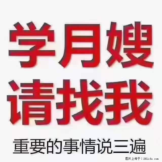 为什么要学习月嫂，育婴师？ - 其他广告 - 广告专区 - 长沙分类信息 - 长沙28生活网 cs.28life.net
