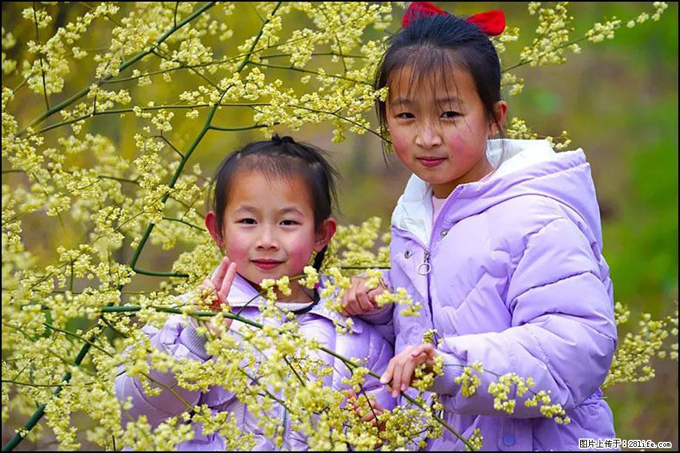 【春天，广西桂林灌阳县向您发出邀请！】米珠山前有片山苍子花在飘香 - 游山玩水 - 长沙生活社区 - 长沙28生活网 cs.28life.net