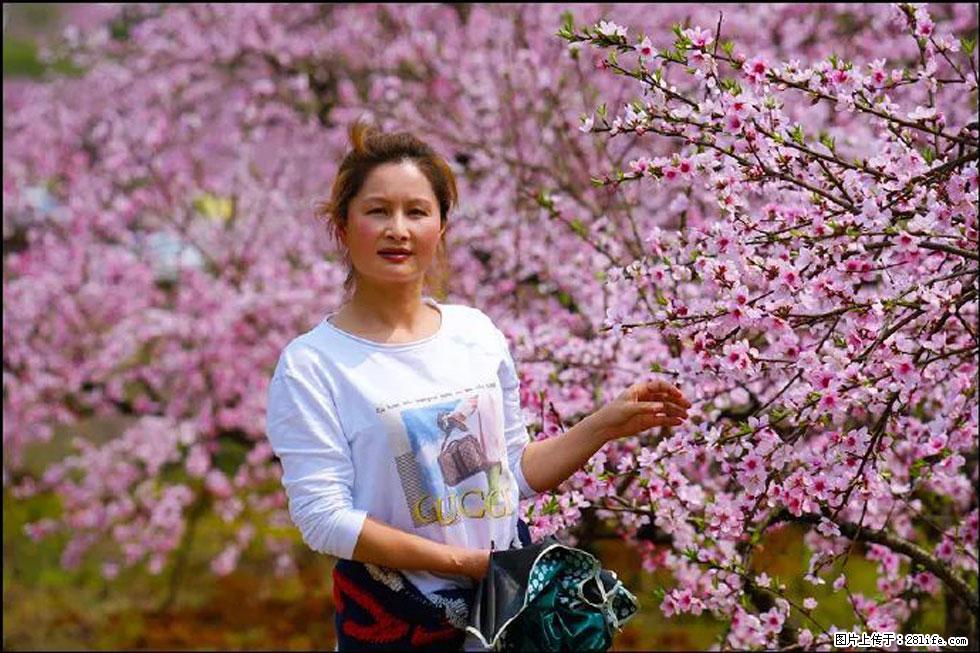 【春天，广西桂林灌阳县向您发出邀请！】官庄村有个醉美的桃花园 - 游山玩水 - 长沙生活社区 - 长沙28生活网 cs.28life.net
