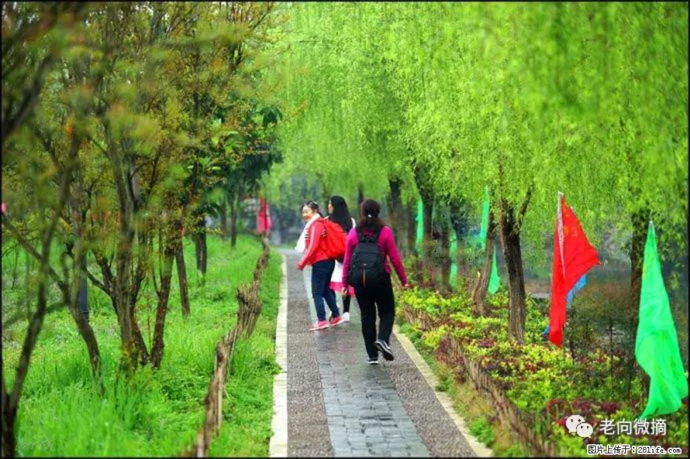 【春天，广西桂林灌阳县向您发出邀请！】江口老街又逢春 - 游山玩水 - 长沙生活社区 - 长沙28生活网 cs.28life.net