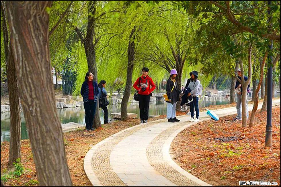 【春天，广西桂林灌阳县向您发出邀请！】江口老街又逢春 - 游山玩水 - 长沙生活社区 - 长沙28生活网 cs.28life.net
