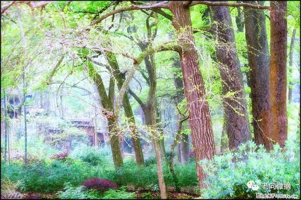 【春天，广西桂林灌阳县向您发出邀请！】在小龙村与春天约会 - 游山玩水 - 长沙生活社区 - 长沙28生活网 cs.28life.net
