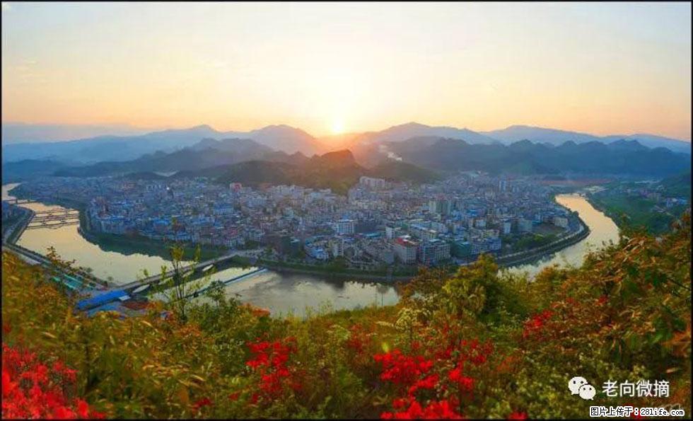 【春天，广西桂林灌阳县向您发出邀请！】登麒麟山，相约映山红 - 游山玩水 - 长沙生活社区 - 长沙28生活网 cs.28life.net