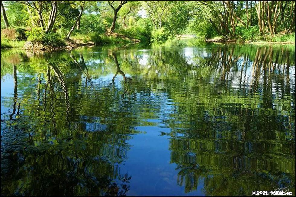 【春天，广西桂林灌阳县向您发出邀请！】熊家寨湿地公园 - 游山玩水 - 长沙生活社区 - 长沙28生活网 cs.28life.net