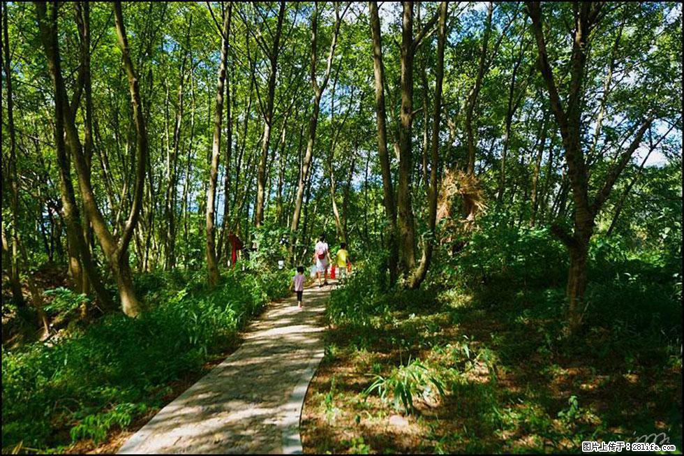【春天，广西桂林灌阳县向您发出邀请！】熊家寨湿地公园 - 游山玩水 - 长沙生活社区 - 长沙28生活网 cs.28life.net