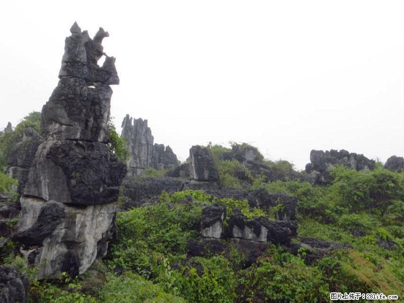 桂林旅游名城景点：灌阳文市石林 - 游山玩水 - 长沙生活社区 - 长沙28生活网 cs.28life.net