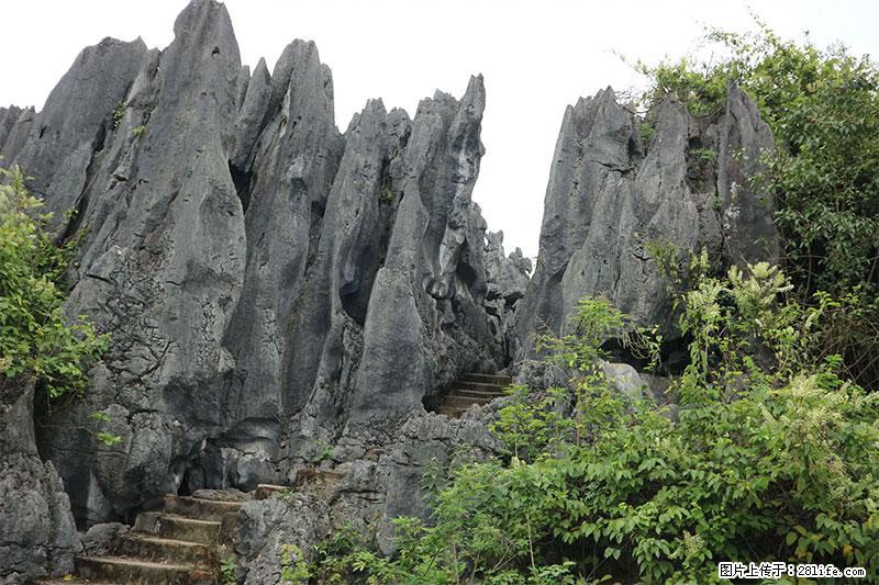 桂林旅游名城景点：灌阳文市石林 - 游山玩水 - 长沙生活社区 - 长沙28生活网 cs.28life.net
