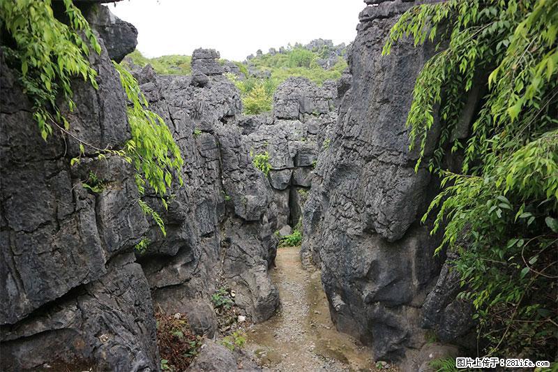 桂林旅游名城景点：灌阳文市石林 - 游山玩水 - 长沙生活社区 - 长沙28生活网 cs.28life.net