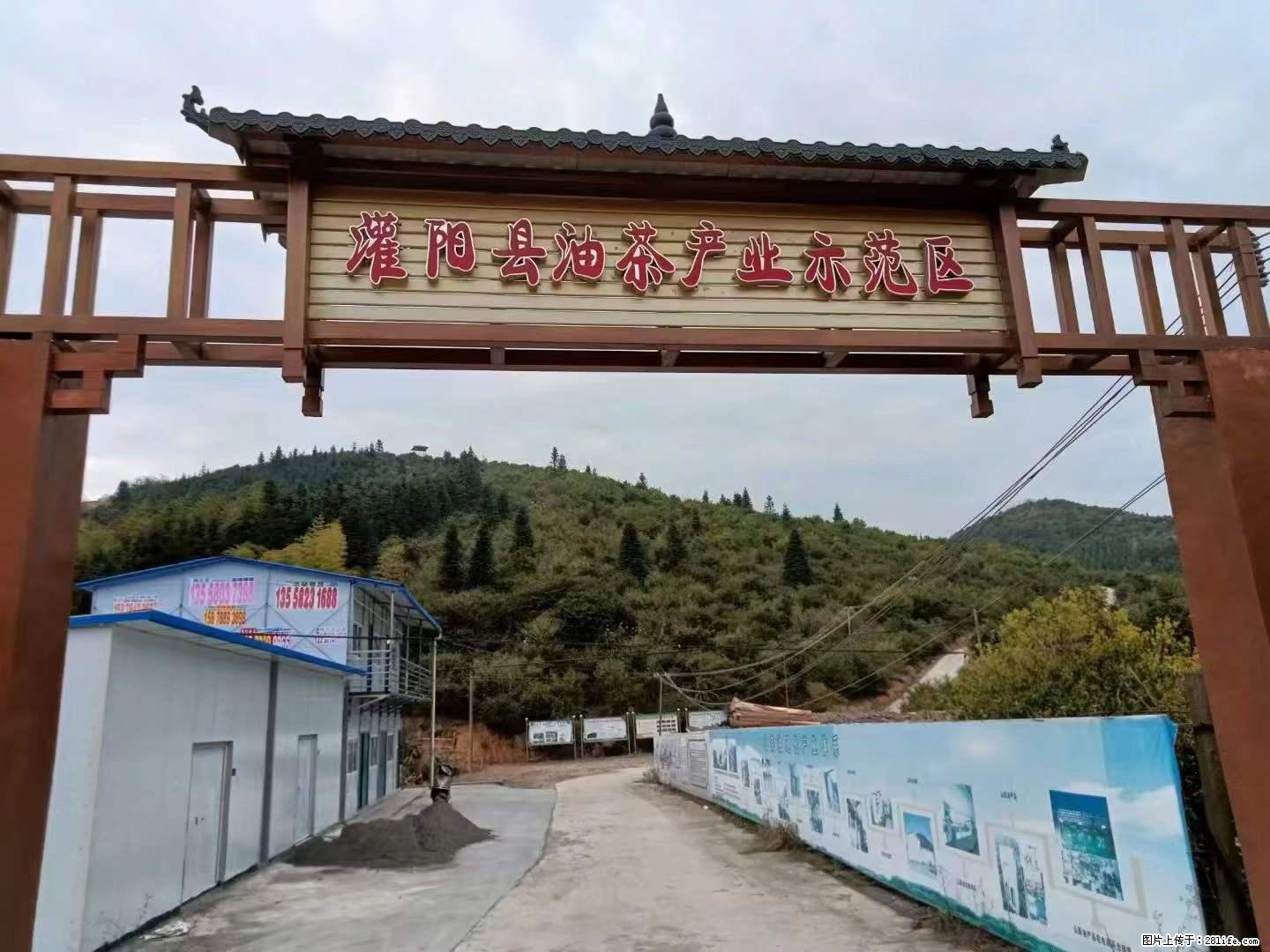 【灌阳县油茶产业示范区】一个有着充实的精神生活的人，对待身外之物自会有一种淡泊的态度 - 美食天地 - 长沙生活社区 - 长沙28生活网 cs.28life.net