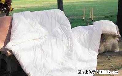 被子有异味？只要这样做，比晒太阳还强100倍！ - 家居生活 - 长沙生活社区 - 长沙28生活网 cs.28life.net
