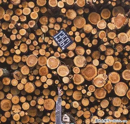 辞掉工作周游世界?现在他们在洗厕所…… - 游山玩水 - 长沙生活社区 - 长沙28生活网 cs.28life.net