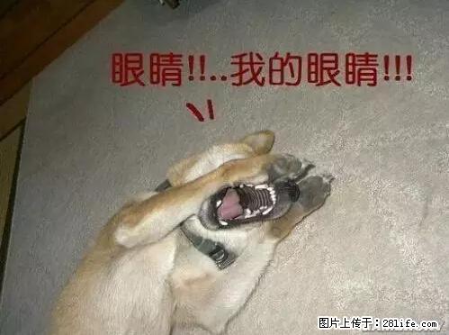 笑癫了！一女的怀孕三年未生，他终于忍不住了... - 娱乐八卦 - 长沙生活社区 - 长沙28生活网 cs.28life.net
