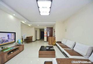 泰禹家园仅此一套豪华装修三房家电齐全 拎包入住即可随时看房 - 长沙28生活网 cs.28life.net