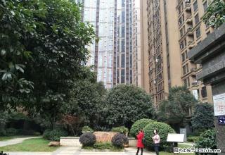 芙蓉广场 湘域城邦两室一厅 近地铁 花园小区拎包入住随时看房 - 长沙28生活网 cs.28life.net