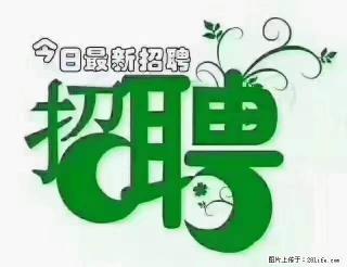 【招聘摄像师】待遇：试用期6000元/月，转正7000元/月+五险一金+餐补+节日福利+奖金 - 长沙28生活网 cs.28life.net