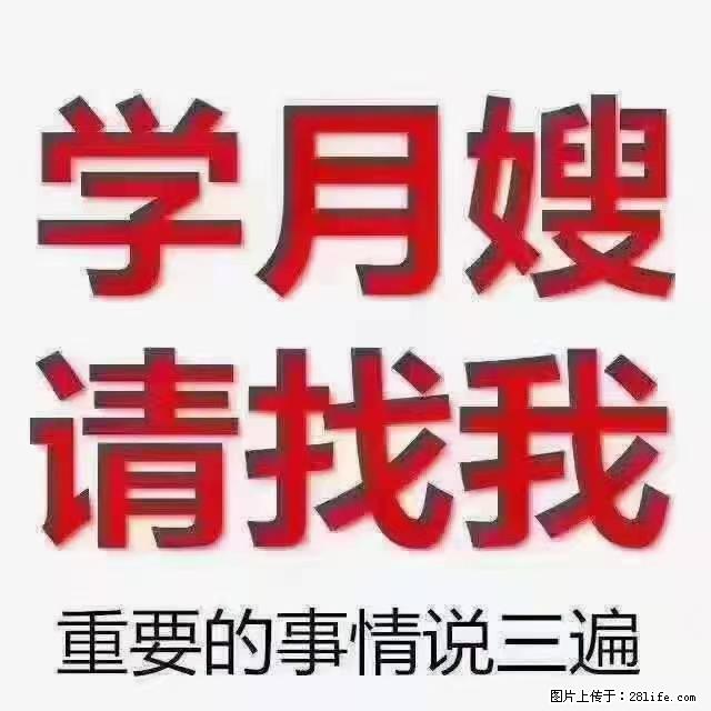 【招聘】月嫂，上海徐汇区 - 职场交流 - 长沙生活社区 - 长沙28生活网 cs.28life.net