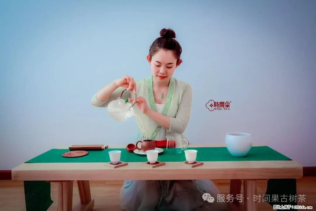 时间果百年古树龙珠普洱生茶 - 购物交流 - 长沙生活社区 - 长沙28生活网 cs.28life.net