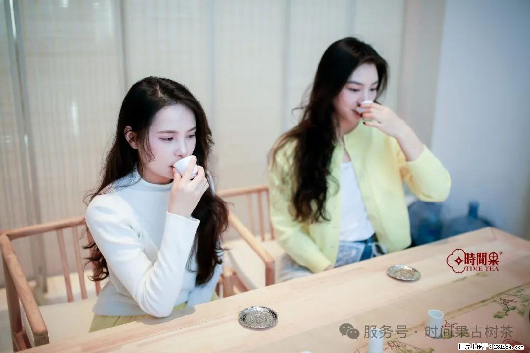 时间果百年古树龙珠普洱生茶 - 购物交流 - 长沙生活社区 - 长沙28生活网 cs.28life.net