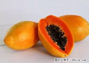 晕车、脚气、牙齿变黄、皮肤粗糙？学会这些三分钟搞定！ - 长沙生活资讯 - 长沙28生活网 cs.28life.net