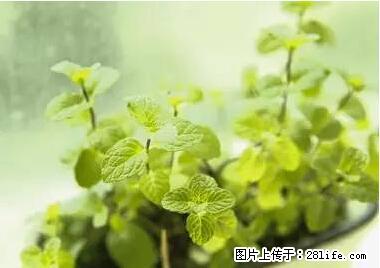 晕车、脚气、牙齿变黄、皮肤粗糙？学会这些三分钟搞定！ - 长沙生活资讯 - 长沙28生活网 cs.28life.net