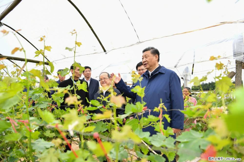 习近平赴广西考察调研 - 长沙生活资讯 - 长沙28生活网 cs.28life.net