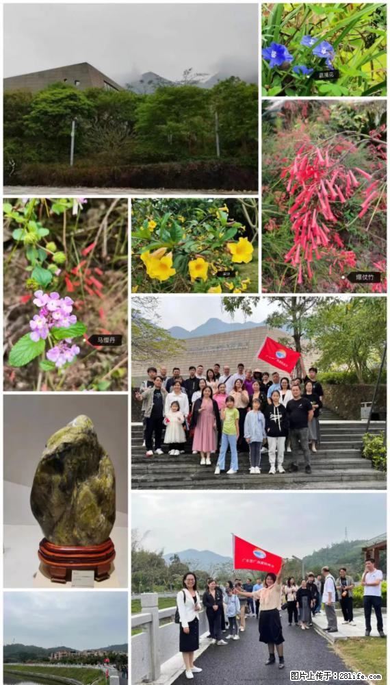 “粤灌文化 美好生活”油茶文化主题活动在广东深圳成功举办 - 长沙生活资讯 - 长沙28生活网 cs.28life.net
