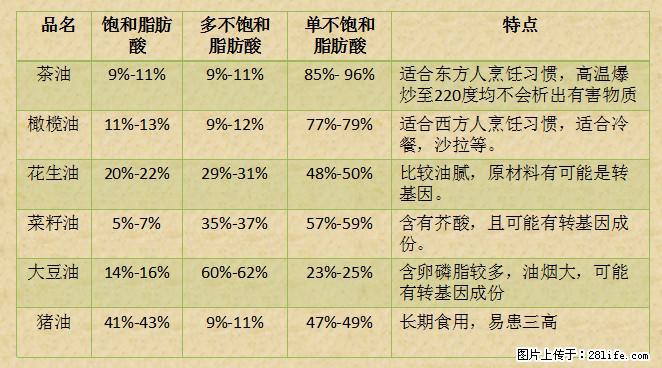 揭秘茶油的5大核心营养成分！被称为人体健康的“守护盾”！ - 长沙生活资讯 - 长沙28生活网 cs.28life.net
