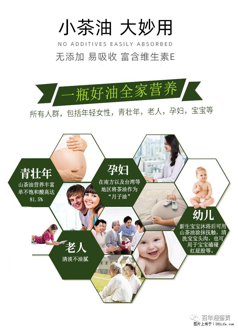 世界没有真相，只有认知，最好的食用油是中国的山茶油！ - 长沙生活资讯 - 长沙28生活网 cs.28life.net