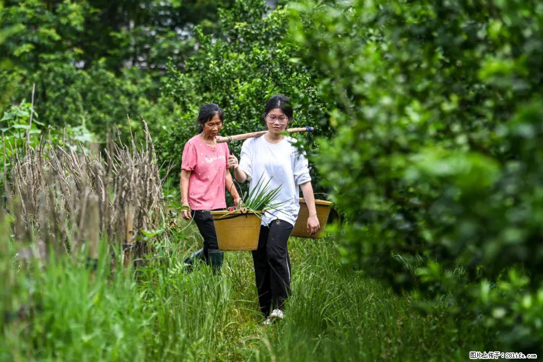 全网追的“扁担女孩”，找了一份暑假工，时薪12元 - 长沙生活资讯 - 长沙28生活网 cs.28life.net
