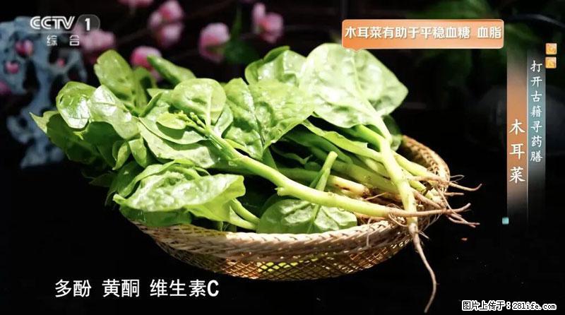 比牛奶补钙还厉害！凉血解毒、稳血糖...这菜冬天必吃，很多人却当草 - 长沙生活资讯 - 长沙28生活网 cs.28life.net