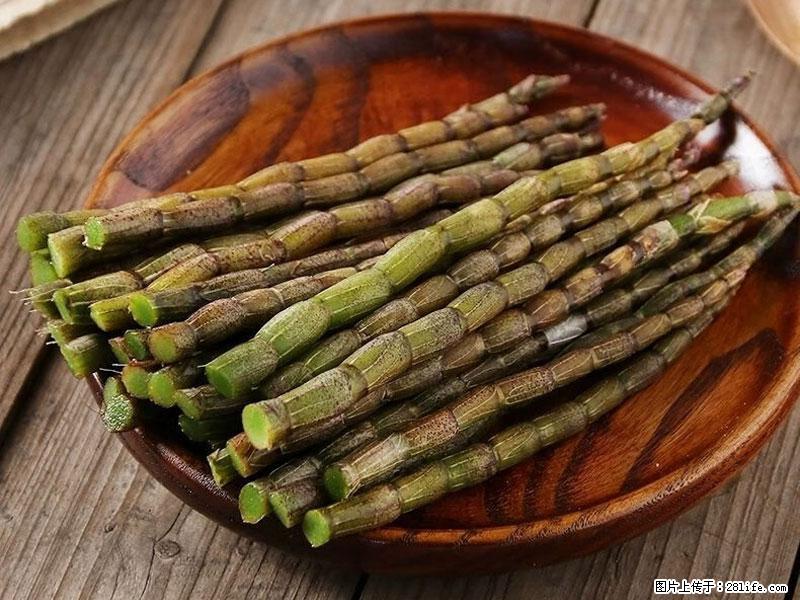 铁皮石斛的作用与功能主治 - 长沙生活资讯 - 长沙28生活网 cs.28life.net