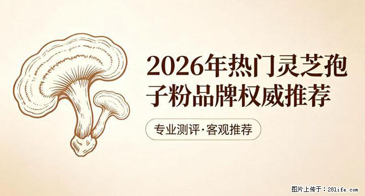 灵芝孢子粉含量越高越有效？2026 年七款热门品牌深度实测，肠胃敏感者避坑指南 - 长沙生活资讯 - 长沙28生活网 cs.28life.net